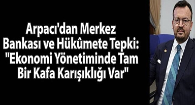 Arpacı'dan Merkez Bankası ve Hükûmete Tepki: 