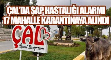 Çal'da Şap Hastalığı Alarmı: 17 Mahalle Karantinaya Alındı