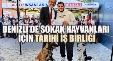 Denizli'de Sokak Hayvanları İçin Tarihi İş Birliği