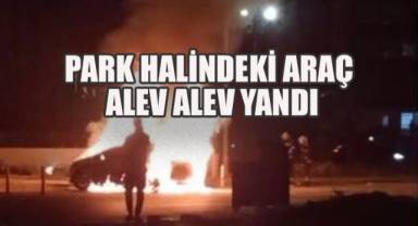 Park Halindeki Araç Alev Alev Yandı
