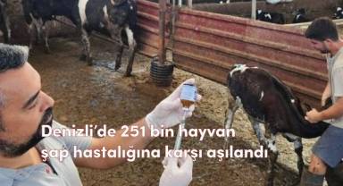 Denizli’de 251 bin hayvan şap hastalığına karşı aşılandı