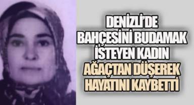 Denizli'de bahçesini budamak isteyen kadın ağaçtan düşerek hayatını kaybetti