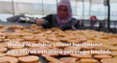 Honaz’ın meşhur cennet hurmasının cips olarak sofralara yolculuğu başladı