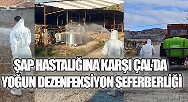 Şap Tehdidine Karşı Çal'da, Kapsamlı Önlem Planı