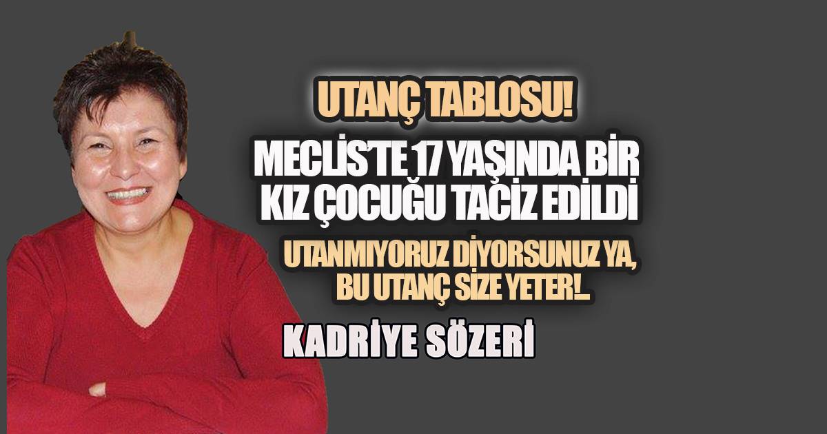 Bu utanç size yeter! Milletin Meclisinde 17 yaşındaki bir kız çocuğu tacize uğradı