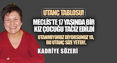 Bu utanç size yeter! Milletin Meclisinde 17 yaşındaki bir kız çocuğu tacize uğradı