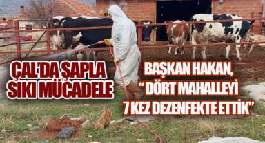 Çal'da Şap Tedbirleri Artırıldı: 4 Mahallede 7 Kez Dezenfeksiyon Yapıldı