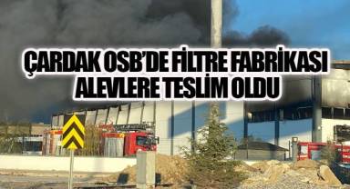 Denizli Çardak OSB'de Geceyi Alevler Aydınlattı: Filtre Fabrikası Küle Döndü