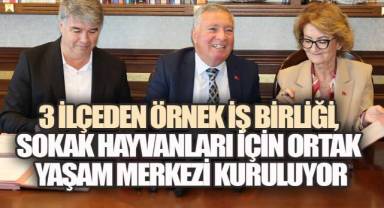 Honaz, Bozkurt ve Çardak el ele verdi; 32 dönümlük dev tesis için imzalar atıldı