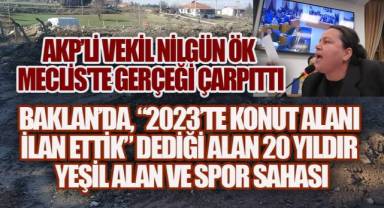 Meclis Kürsüsünde Skandal: Nilgün Ök, Baklan'da, Zaten Yeşil Olan Alanı