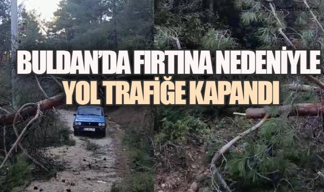 Buldan'da rüzgâr ağaçları devirdi, ulaşım durdu