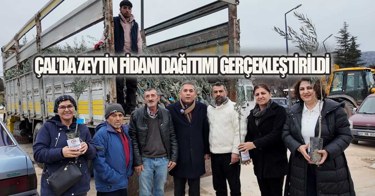 Çal'da Tarıma Destek: Zeytin Fidanları Üreticiyle Buluştu