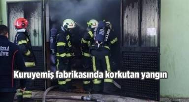 Kuruyemiş fabrikasında korkutan yangın