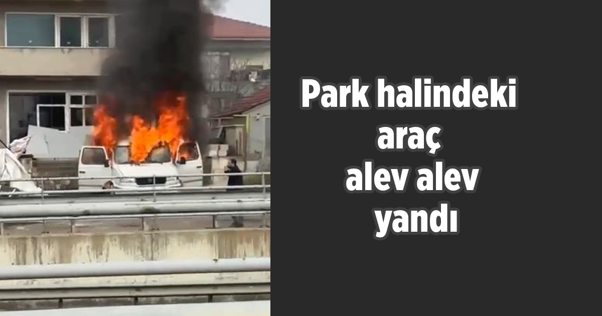 Park halindeki araç alev alev yandı