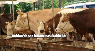 Buldan'da şap karantinası kaldırıldı