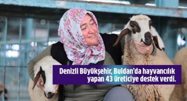 Denizli Büyükşehir Belediyesi, Buldan’da hayvancılık yapan 43 üreticiye destek verdi.
