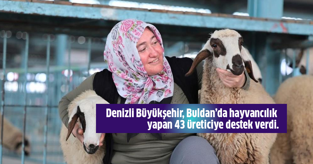Denizli Büyükşehir Belediyesi, Buldan’da hayvancılık yapan 43 üreticiye destek verdi.
