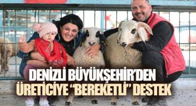 Denizli Büyükşehir'den 572 üreticiye toplam 1.182 damızlık koyun ve koç desteği