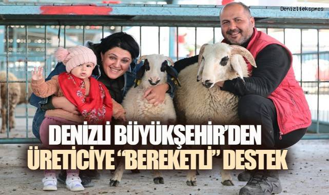 Denizli Büyükşehir'den 572 üreticiye toplam 1.182 damızlık koyun ve koç desteği