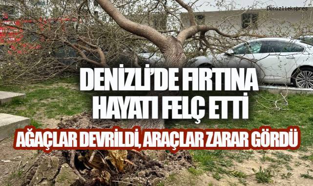 Denizli’de fırtına  hayatı felç etti, ağaçlar devridi, araçlar zarar gördü.
