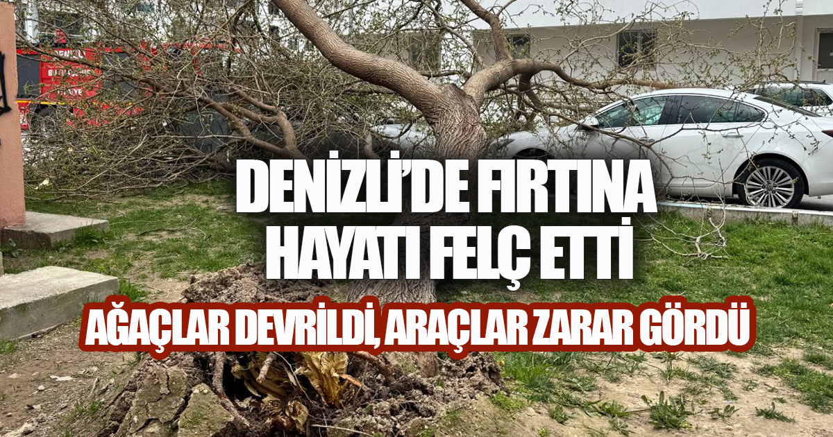 Denizli'de fırtına hayatı felç etti, ağaçlar devridi, araçlar zarar gördü. 