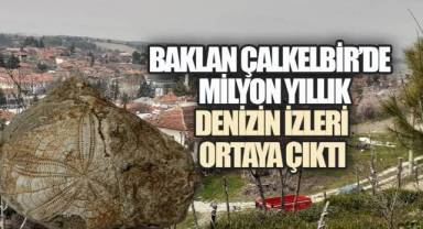 Çalkebir'de Milyonlarca Yıllık Deniz İzleri Ortaya Çıktı: Deniz Yıldızı Fosili Heyecan Yarattı