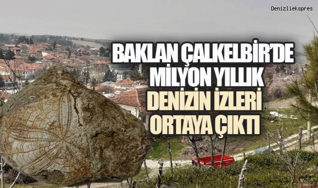 Çalkebir'de Milyonlarca Yıllık Deniz İzleri Ortaya Çıktı: Deniz Yıldızı Fosili Heyecan Yarattı