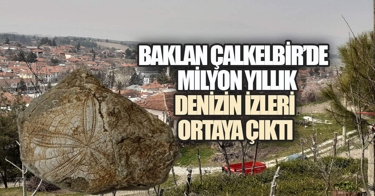 Çalkebir'de Milyonlarca Yıllık Deniz İzleri Ortaya Çıktı: Deniz Yıldızı Fosili Heyecan Yarattı