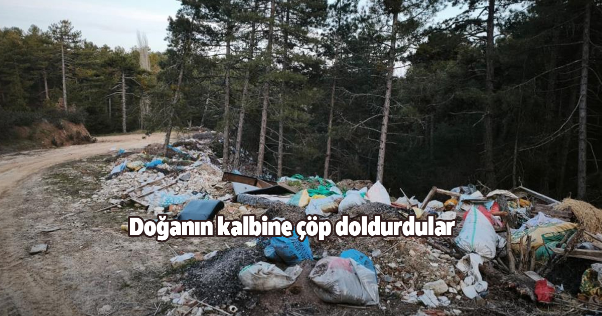 Doğanın kalbine çöp doldurdular
