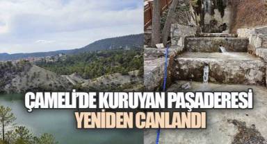 Paşaderesi'nden Gelen Su, Çameli Ovası'na Yeniden Hayat Olacak