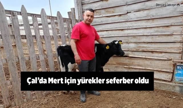 Çal’da Mert için yürekler seferber oldu