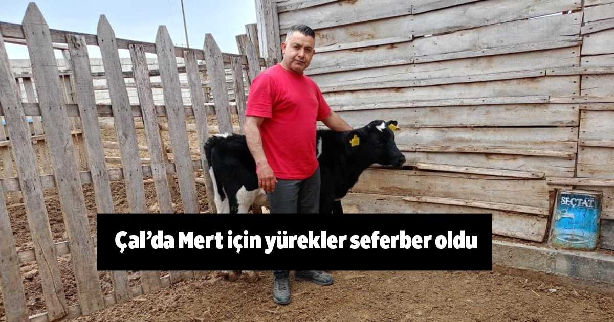 Çal’da Mert için yürekler seferber oldu