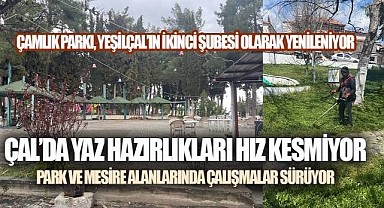 Çal'da Yaz Hazırlıkları Hız Kesmiyor: Park ve Mesire Alanlarında Çalışmalar Sürüyor
