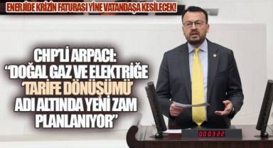 CHP Denizli Milletvekili Arpacı, 