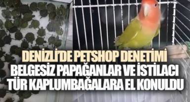 Denizli’de petshop denetimi: Belgesiz papağanlar ve istilacı tür kaplumbağalara el konuldu