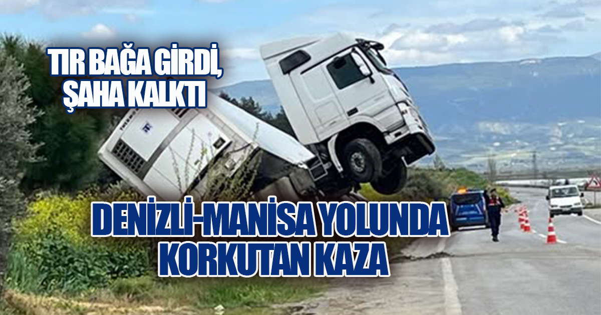 Denizli-Manisa Yolunda Korkutan Kaza: Tır Bağa Girdi, Şaha Kalktı