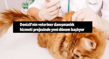 Denizli'nin veteriner danışmanlık hizmeti projesinde yeni dönem başlıyor