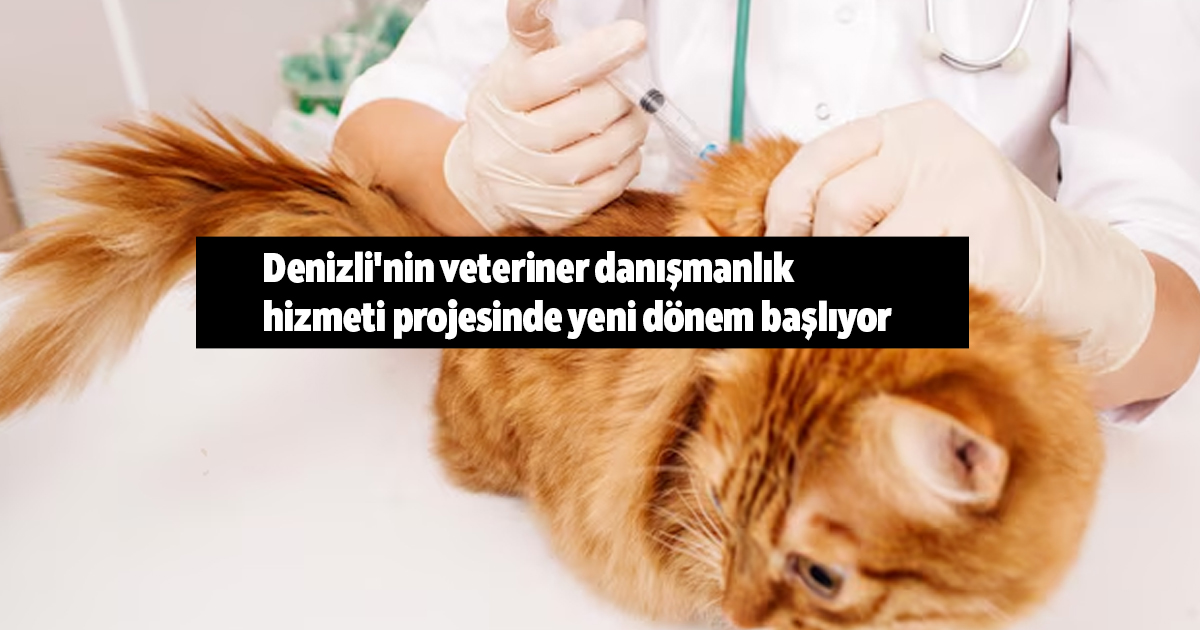 Denizli'nin veteriner danışmanlık hizmeti projesinde yeni dönem başlıyor