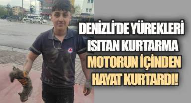 Mazot Deposuna Sıkışan Kedi Sağ Salim Kurtarıldı