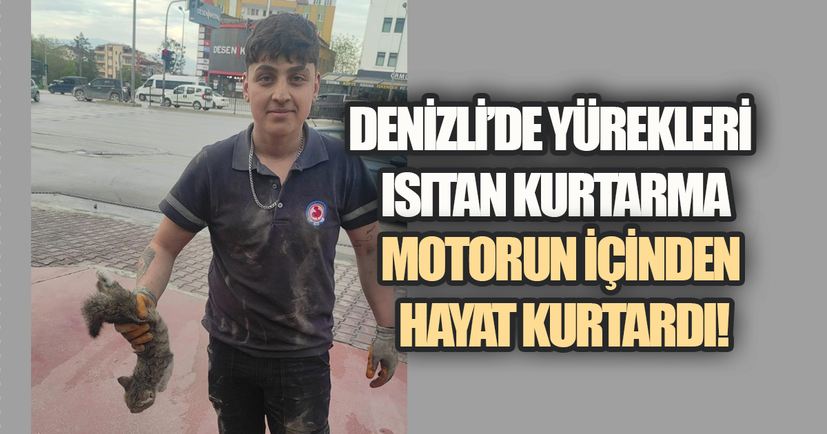 Mazot Deposuna Sıkışan Kedi Sağ Salim Kurtarıldı