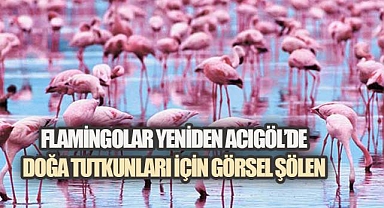 Pembe Misafirler Geri Döndü: Acıgöl'de Büyüleyici Görüntüler