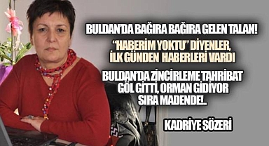 YEŞİL BULDAN'IN SON NEFESİ: KEPÇELER, TESTERELER, RUHSATLAR VE YALANLAR ARASINDA