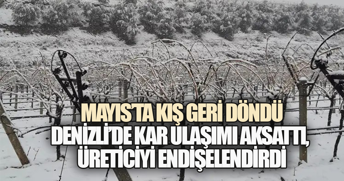 Baharda Gelen Kar Ulaşımı Aksattı, Üreticiyi Vurdu