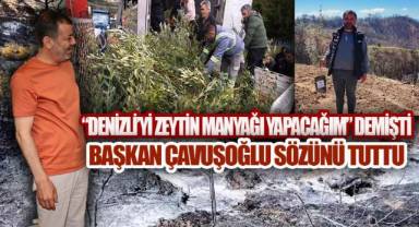 BAŞKAN ÇAVUŞOĞLU'NUN, DAĞA TAŞA ZEYTİN SÖZÜ, YANAN TOPRAKLARDA GERÇEĞE DÖNÜŞTÜ