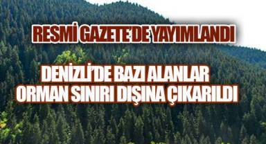 Çameli ve Tavas’ta Bazı Alanlar Orman Vasfı Dışına Çıkarıldı