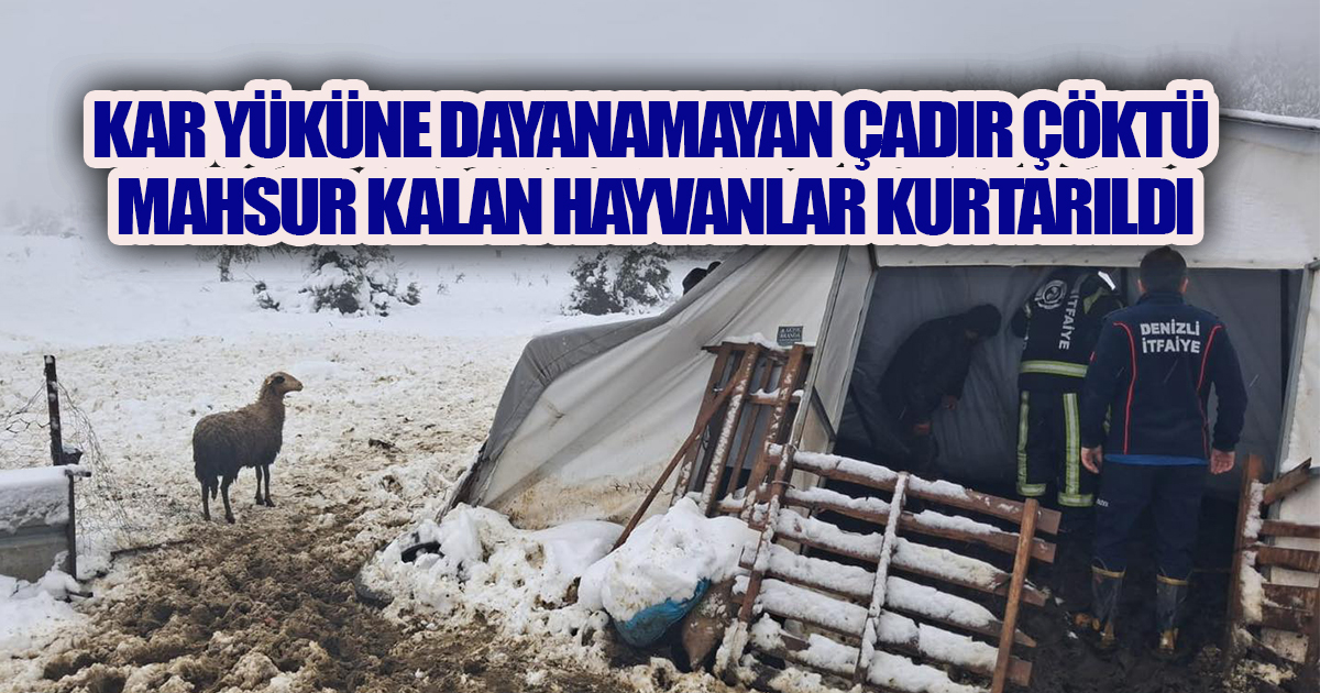 Kar Yüküne Dayanamayan Çadır Çöktü: Mahsur Kalan Hayvanlar Kurtarıldı