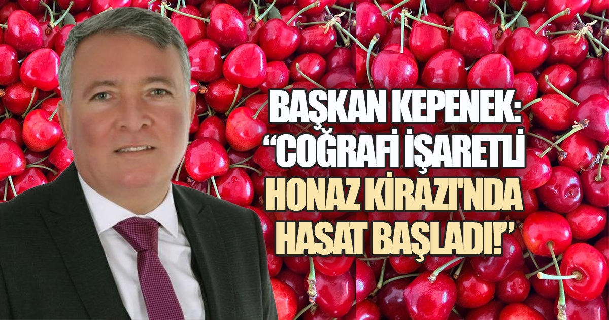 Başkan Kepenek duyurdu: Coğrafi işaretli Honaz Kirazı'nda hasat başladı!