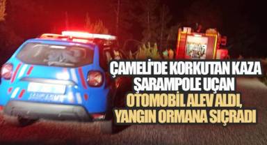 ÇAMELİ'DE KORKUTAN KAZA: ŞARAMPOLE UÇAN OTOMOBİL ALEV ALDI, YANGIN ORMANA SIÇRADI
