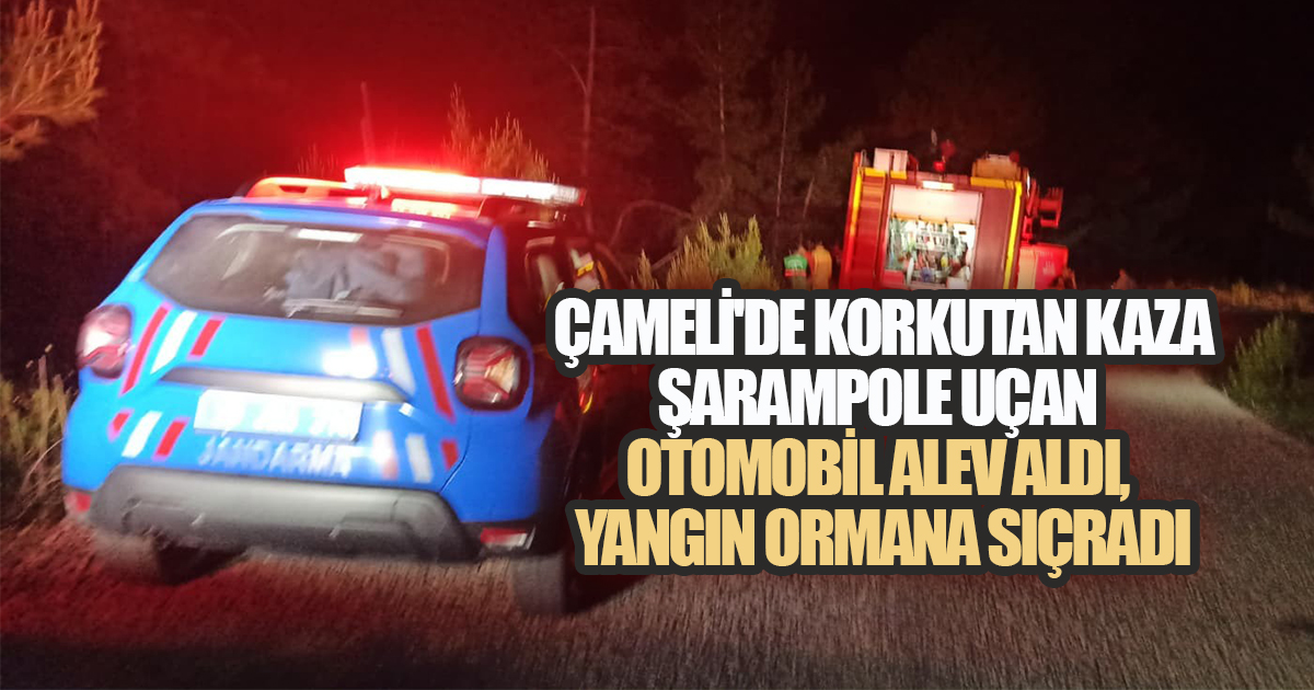 ÇAMELİ'DE KORKUTAN KAZA: ŞARAMPOLE UÇAN OTOMOBİL ALEV ALDI, YANGIN ORMANA SIÇRADI