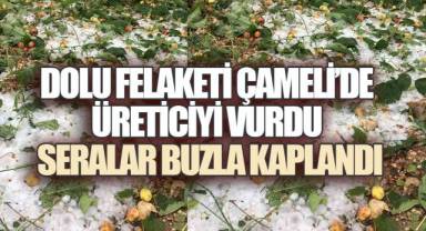 Çameli'de Gökyüzünden Yağan Buz Üreticinin Umudunu Kırdı